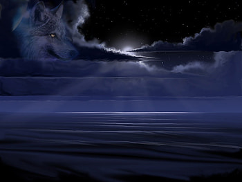 wolf-seacape, animal, scene, moon, wolf, ocean HD wallpaper