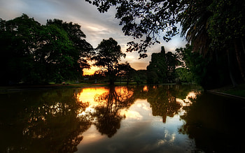 Landscape, Trees, Sunset, Lakes HD wallpaper