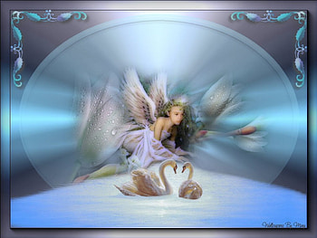 Angel Lily, fairy, swans, birds, fairies, water, angels HD wallpaper