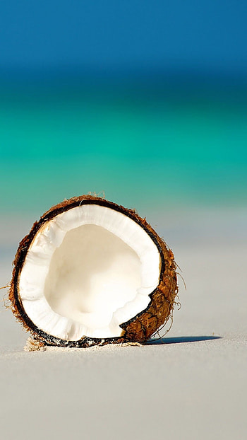 Coconut, Tranquil beach, Serene escape, Ocean breeze HD phone wallpaper