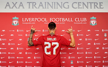 Darwin Núñez, soccer, 27, ynwa, lfc, nunez, football, liverpool, uruguay, sport HD wallpaper
