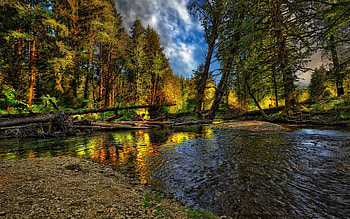 Nature, Rivers, Trees, Pebble, Sky, Summer, Shore, Bank, Forest, Logs, Stony, Rocky HD wallpaper