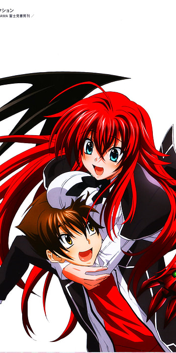 High School DxD Dynamic Duo, Anime, High School DxD HD phone wallpaper