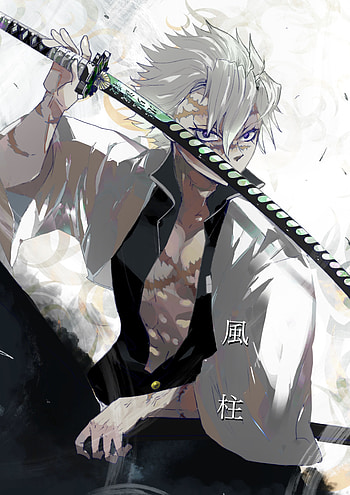 Shinazugawa Sanemi, demon slayer, fanart HD phone wallpaper