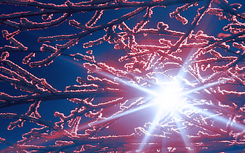 Waiting The Spring, winter, sun, tree, red HD wallpaper