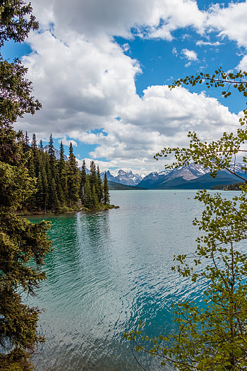 Nature, Trees, Mountains, Lake, Branches HD phone wallpaper
