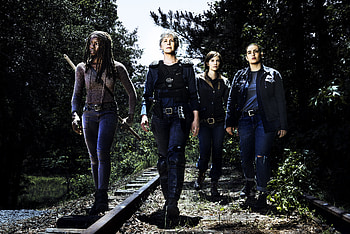 The Walking Dead, Tv Show, Alanna Masterson, Carol Peletier, Danai Gurira, Lauren Cohan, Maggie Greene, Melissa Mcbride, Michonne (The Walking Dead), Tara Chambler HD wallpaper