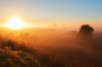 Fog Dawn Sunset , fog, dawn, sunset, nature HD wallpaper