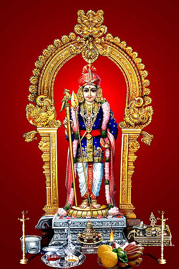 Palani Murugan Raja Alankaram - - - Tip, Murugan Temple HD phone wallpaper