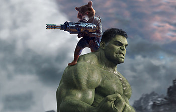 Hulk, Rocket Raccoon HD wallpaper