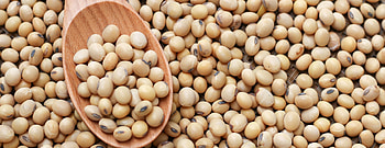Including more soy in diet, Patient education, Healthy choices, UCSF Health HD wallpaper