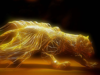 art_fan_glow_cat, abstract, glow, fantasy, art, yellow, cat, dark HD wallpaper