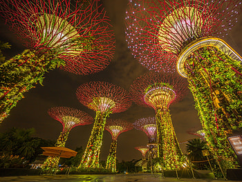 Garden, Singapore, Plant, Marina Bay Sands HD wallpaper
