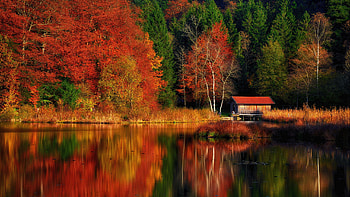 Beautiful Nice Landscape View Of Green Red Yellow Autumn Trees Forest House Reflection On Lake During Daytime Nature HD wallpaper