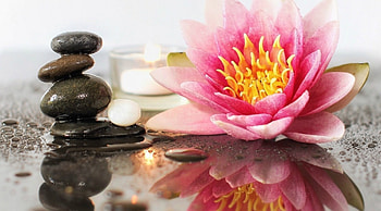 Still life, Reflection, Flower, Stones, Lily HD wallpaper