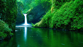 The 10 Nature Green Color - Good For Your Eyes, Eye Soothing HD wallpaper