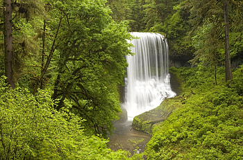 Waterfall in wood, trees, waterfall, beautiful, nature HD wallpaper