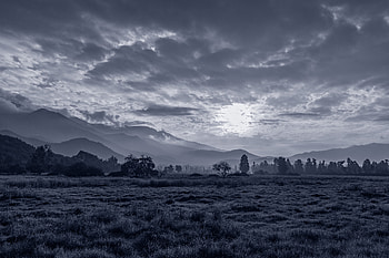 Nature, Trees, Grass, Sun, Hills, Bw, Chb HD wallpaper