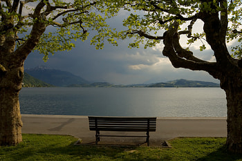 To catch up, other, nature, people, entertainment HD wallpaper