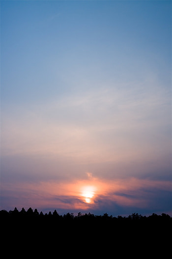 Nature, Sunset, Sky, Twilight, Clouds, Horizon, Dusk HD phone wallpaper