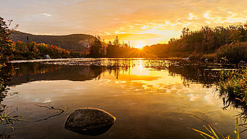 Groton state forest, Laptop , Full HD wallpaper