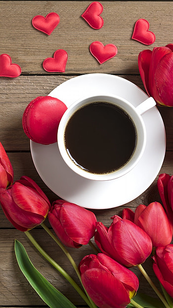 Good Morning, Morning, Tea HD phone wallpaper