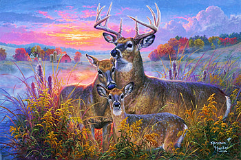Whitetail Family, artwork, painting, fawn, deer, landscape, sky, nature, sunset HD wallpaper