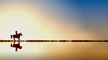 A rider on horseback creates a stunning silhouette at sunset over a reflective water surface. HD wallpaper