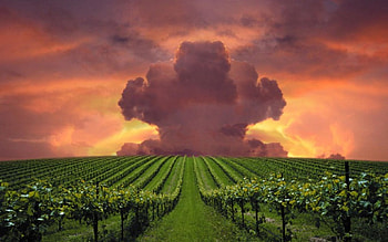 Amazing cloud, amazing, field, cloud, sunset HD wallpaper