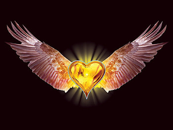 angel heart wing, wings, trapped scorpion, heart, yellowish HD wallpaper