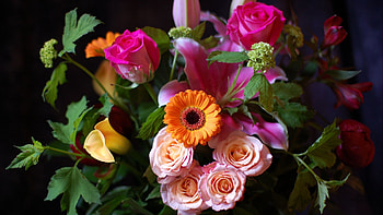 Plants, Flowers, Bouquets HD wallpaper