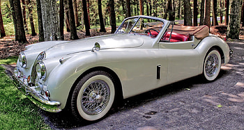 1957 Jaguar XK140, british, jaguar, forest, car HD wallpaper