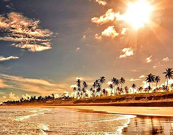 Tropical Island, Beach, Island, Palm, Sea HD wallpaper