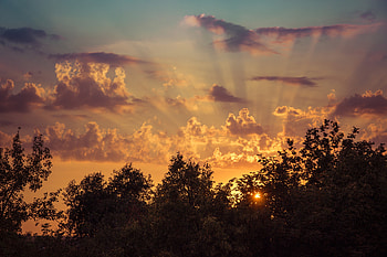 Nature, Trees, Sky, Clouds, Rise, Sunrise HD wallpaper