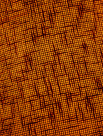 Abstract, Macro, Texture, Cloth HD phone wallpaper
