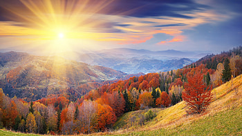 Sunrise, Autumn HD wallpaper