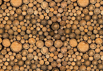 Texture, brown, wood, lemne, butuci HD wallpaper