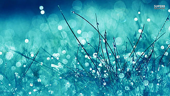 RAIN on Grass, Water, Grass, Blue, Rain HD wallpaper