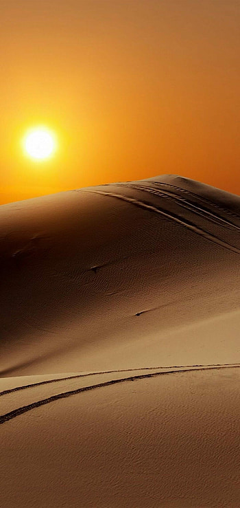 Desert Camel, Android , Majestic beauty, Serene landscapes HD phone wallpaper