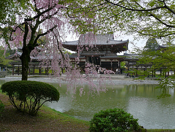 Landscape, Houses, Trees, Asia HD wallpaper