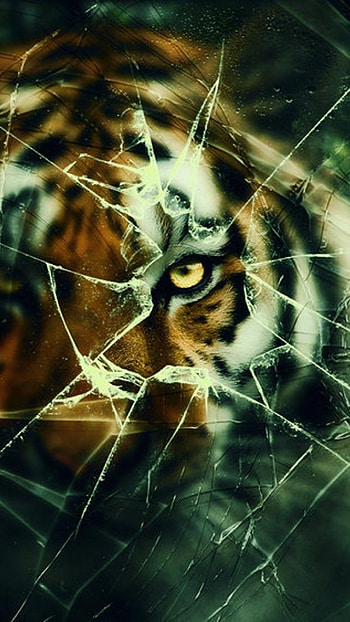 Mobile Glass Broken, Aesthetic HD phone wallpaper