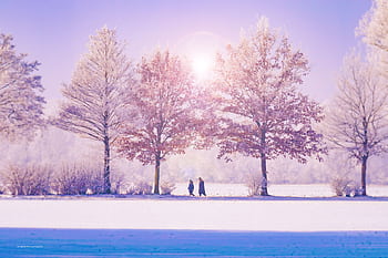 A scenic winter landscape with two people walking through snow-covered park. HD wallpaper