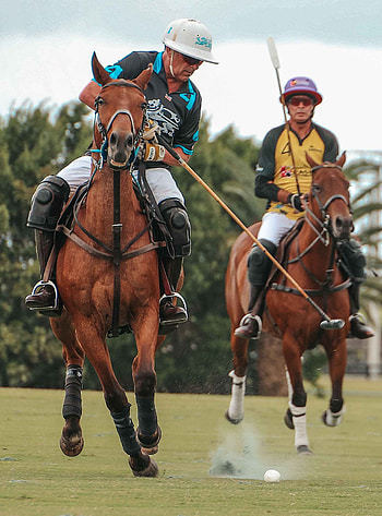 Catamount vs NetJets, Horse Polo HD phone wallpaper