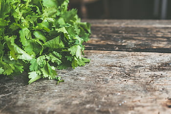 A bunch of fresh cilantro on a rustic wooden table, perfect for cooking inspiration. HD wallpaper
