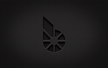 BitShares carbon logo, , grunge art, carbon background, creative, BitShares black logo, cryptocurrency, BitShares logo, BitShares HD wallpaper