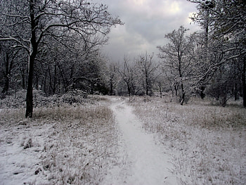 Landscape, Winter HD wallpaper