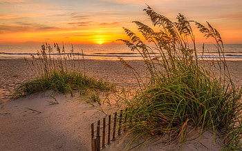 Hatteras Morning, USA, USA, bentgrass, sunrise, beach, ocean HD wallpaper