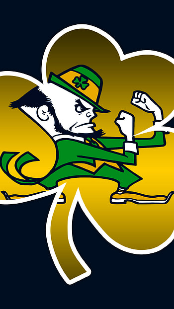 Notre Dame /Android Screen Resolution (1440 x 2560) HD phone wallpaper