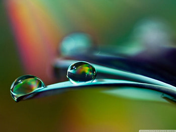 COLORFUL DROPS, blue, colorful, rain, drops, beauty, close up, green, cool, , nature, water, macro HD wallpaper