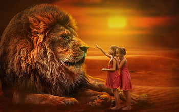 :), girl, orange, lion, copil, animal, leu, children, fantasy, sister, couple, giant, sunset HD wallpaper